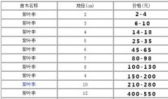紫叶李价格-图片
